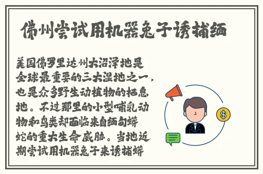 羞羞动漫进入入口